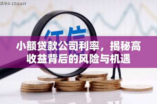 榕城小额贷款公司利率，揭秘高收益背后的风险与机遇