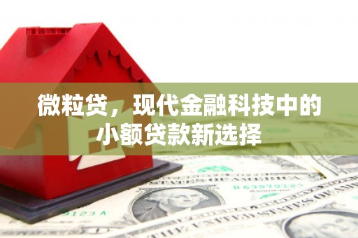 榕城微粒贷，现代金融科技中的小额贷款新选择