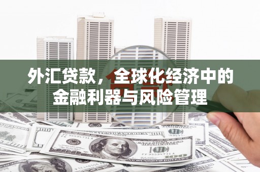 榕城外汇贷款，全球化经济中的金融利器与风险管理