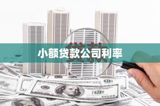榕城小额贷款公司利率