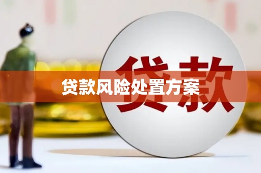 榕城贷款风险处置方案