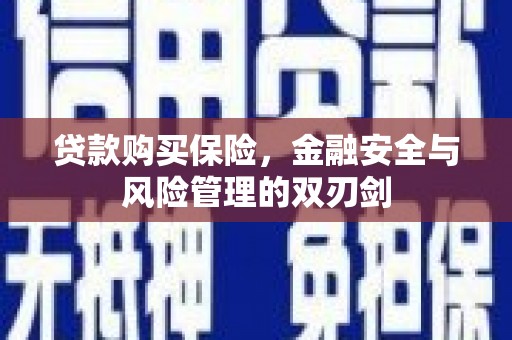 榕城贷款购买保险，金融安全与风险管理的双刃剑