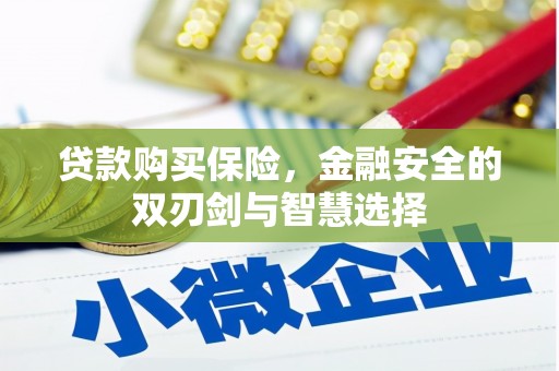 榕城贷款购买保险，金融安全的双刃剑与智慧选择