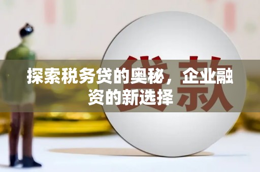 榕城探索税务贷的奥秘，企业融资的新选择