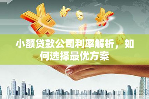榕城小额贷款公司利率解析，如何选择最优方案