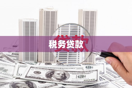 榕城税务贷款
