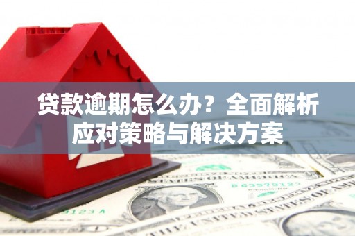 榕城贷款逾期怎么办？全面解析应对策略与解决方案