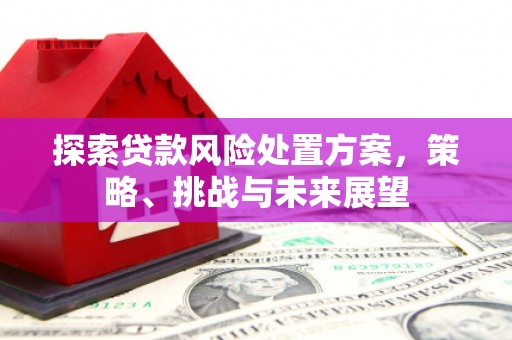 榕城探索贷款风险处置方案，策略、挑战与未来展望