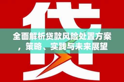 榕城全面解析贷款风险处置方案，策略、实践与未来展望