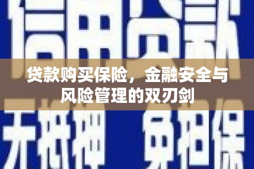 榕城贷款购买保险，金融安全与风险管理的双刃剑