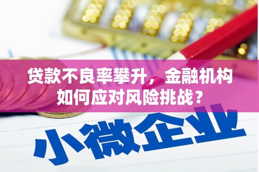 榕城贷款不良率攀升，金融机构如何应对风险挑战？