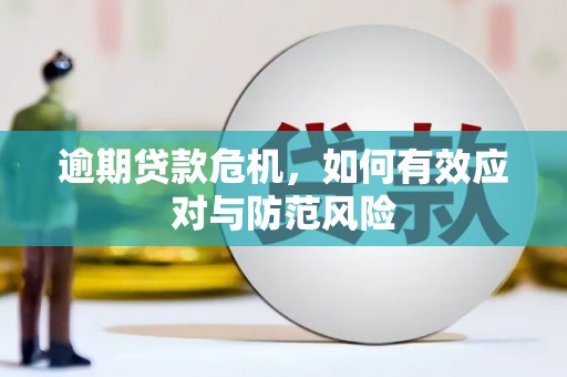 榕城逾期贷款危机，如何有效应对与防范风险
