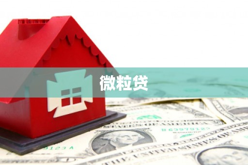榕城微粒贷