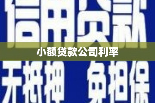 榕城小额贷款公司利率