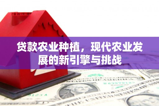 榕城贷款农业种植，现代农业发展的新引擎与挑战