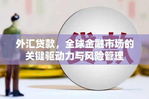 榕城外汇贷款，全球金融市场的关键驱动力与风险管理