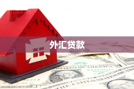 榕城外汇贷款