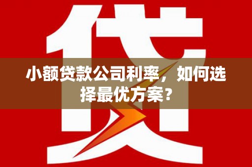 榕城小额贷款公司利率，如何选择最优方案？