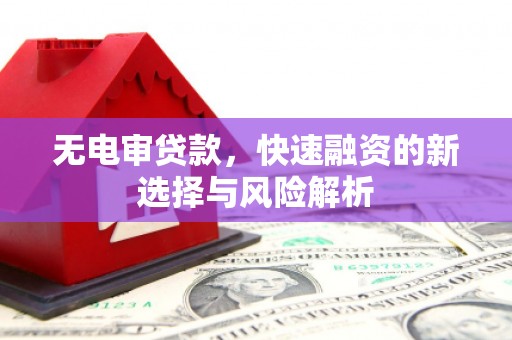 榕城无电审贷款，快速融资的新选择与风险解析