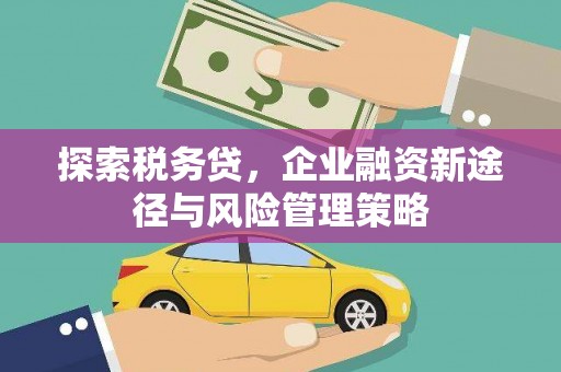榕城探索税务贷，企业融资新途径与风险管理策略