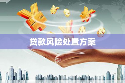 榕城贷款风险处置方案