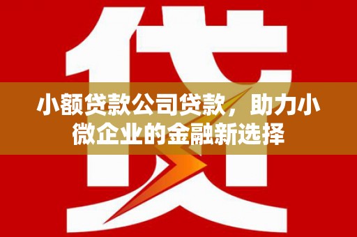 榕城小额贷款公司贷款，助力小微企业的金融新选择