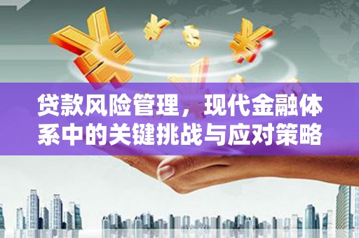 榕城贷款风险管理，现代金融体系中的关键挑战与应对策略