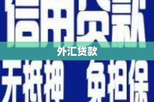 榕城外汇贷款