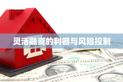 榕城灵活融资的利器与风险控制