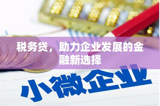 榕城税务贷，助力企业发展的金融新选择