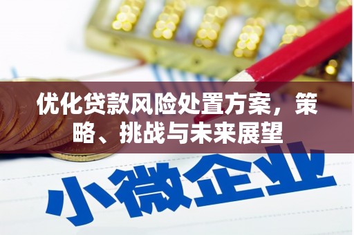 榕城优化贷款风险处置方案，策略、挑战与未来展望
