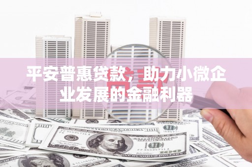 榕城平安普惠贷款，助力小微企业发展的金融利器