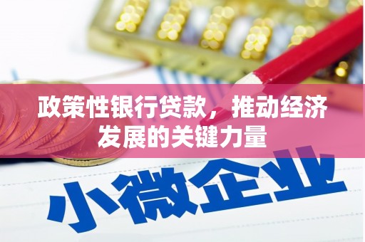 榕城政策性银行贷款，推动经济发展的关键力量