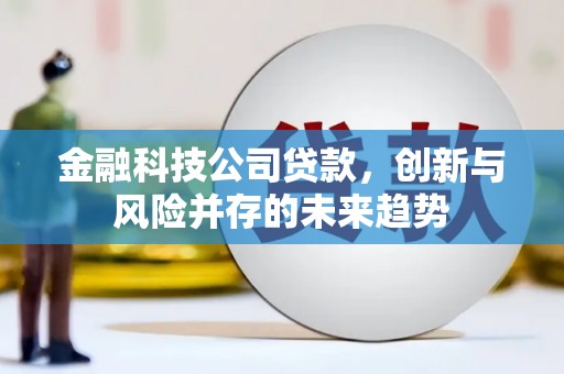 榕城金融科技公司贷款，创新与风险并存的未来趋势