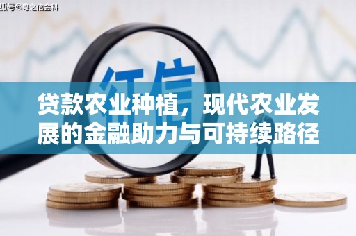 榕城贷款农业种植，现代农业发展的金融助力与可持续路径