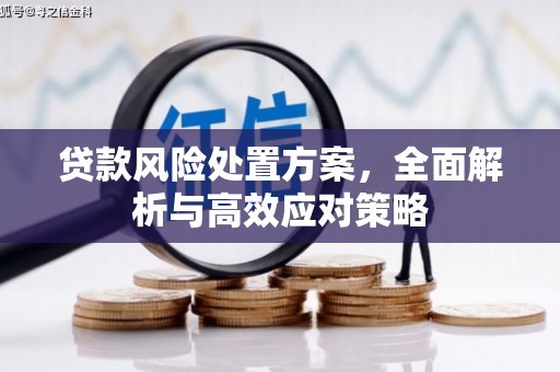 榕城贷款风险处置方案，全面解析与高效应对策略