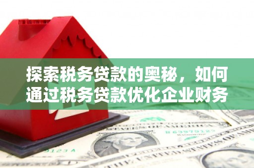 榕城探索税务贷款的奥秘，如何通过税务贷款优化企业财务