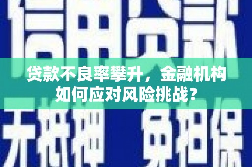 榕城贷款不良率攀升，金融机构如何应对风险挑战？