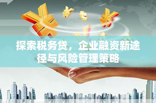 榕城探索税务贷，企业融资新途径与风险管理策略