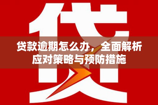 榕城贷款逾期怎么办，全面解析应对策略与预防措施