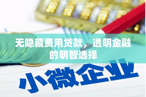 榕城无隐藏费用贷款，透明金融的明智选择
