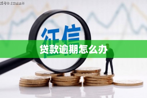 榕城贷款逾期怎么办