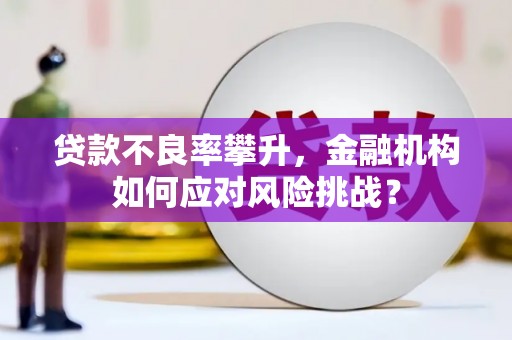 榕城贷款不良率攀升，金融机构如何应对风险挑战？