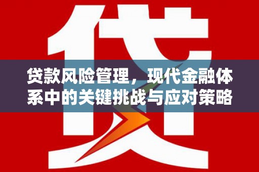 榕城贷款风险管理，现代金融体系中的关键挑战与应对策略