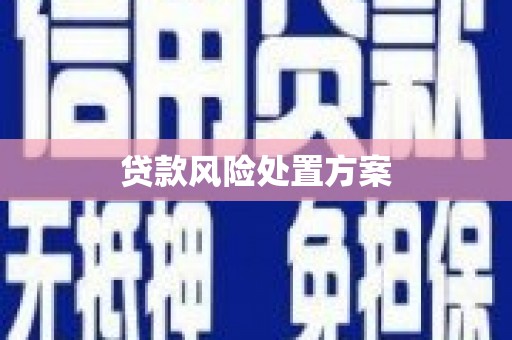 榕城贷款风险处置方案