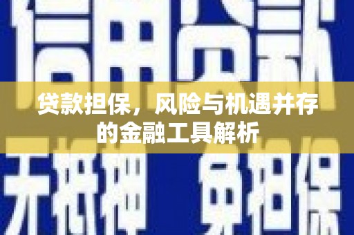 榕城贷款担保，风险与机遇并存的金融工具解析