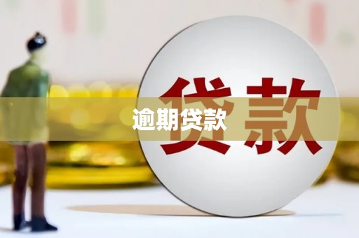 榕城逾期贷款