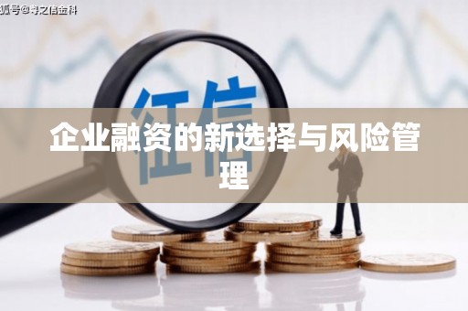 榕城企业融资的新选择与风险管理